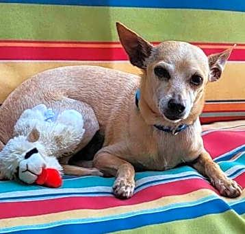 Photo of Mario (Courtesy Post)