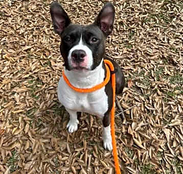 Photo of COCO