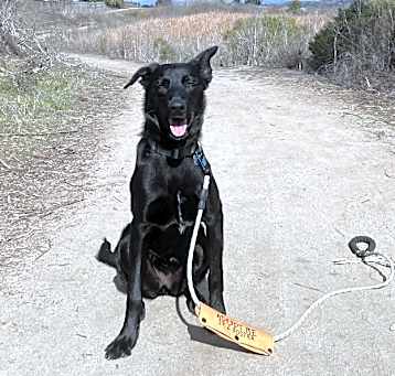 Photo of Ember
