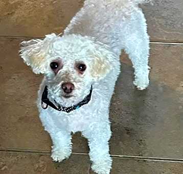 Photo of Qtip