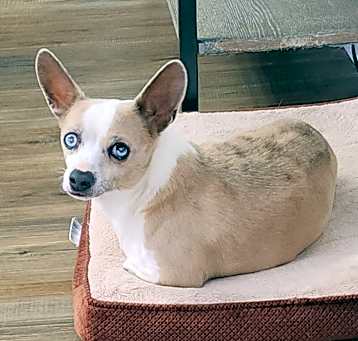 Photo of Blue