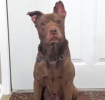 Photo of FLIP