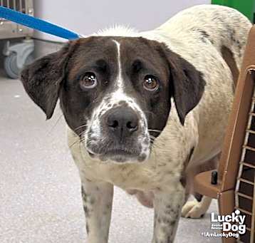 Photo of Lucy