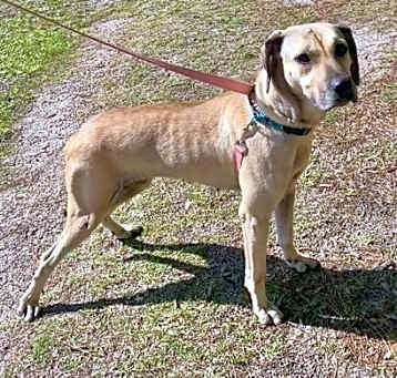 Photo of Bertha