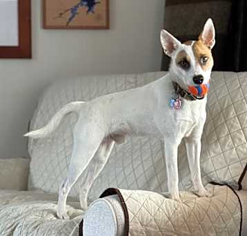 Photo of Bernie