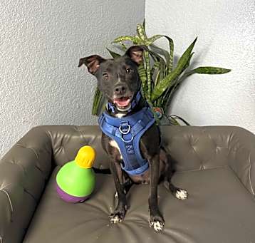 Photo of Emmett Everly