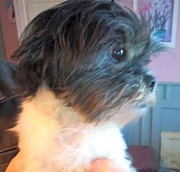 Photo of Myla