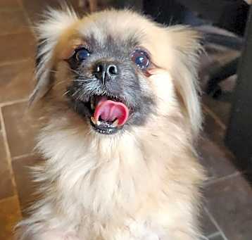Photo of Mia
