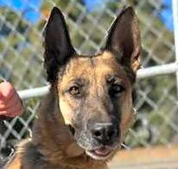 Photo of DARLENE