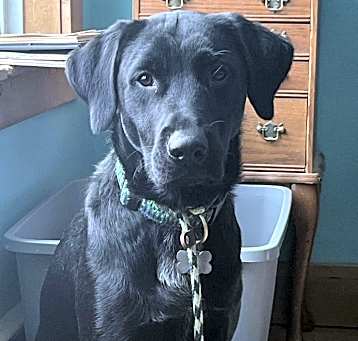 Photo of Knox