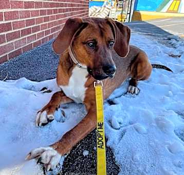 Photo of ROO