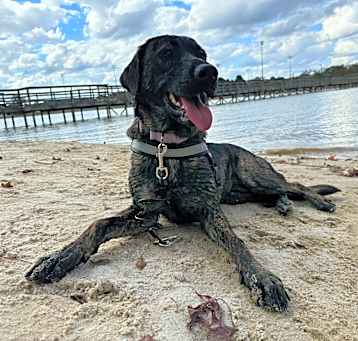 Photo of Bama