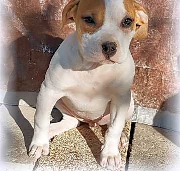 Photo of Emmy Lou