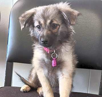 Photo of Keisha