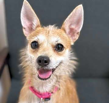Photo of Miss Maggie
