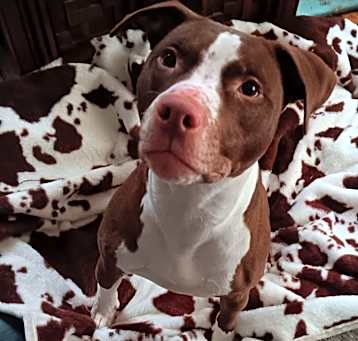 Photo of Flash