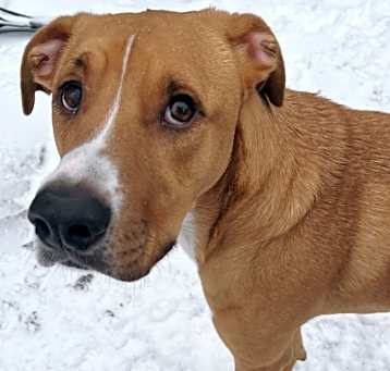 Photo of Milo
