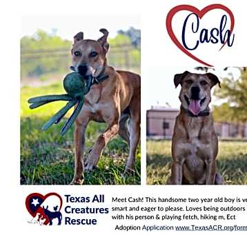 Photo of Cash