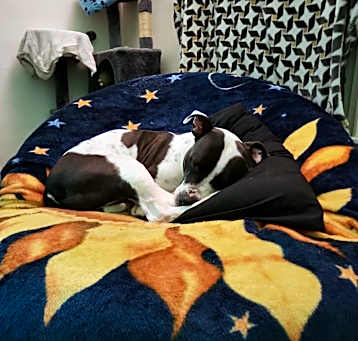 Photo of Xena