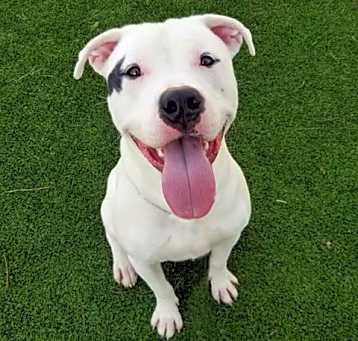 Photo of BLANCO
