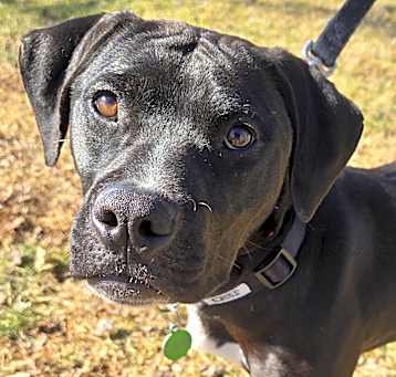 Photo of Jett