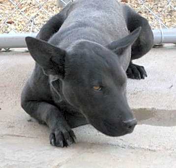 Photo of Nuri