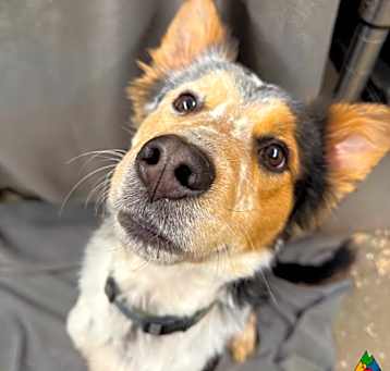Photo of Jethro