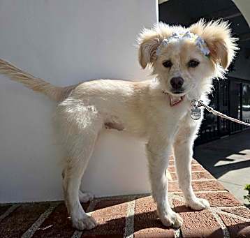 Photo of Molly