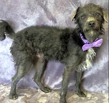 Photo of Fritz