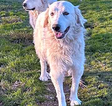 Photo of Sophie