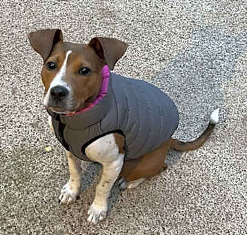 Photo of Oliver