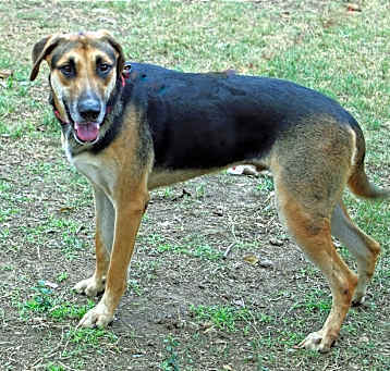Photo of WINSTON