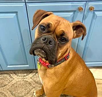 Photo of Chloe