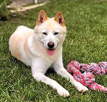Photo of Ollie IN LA!!