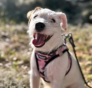 Photo of Kia
