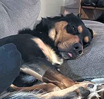 Photo of Zeke
