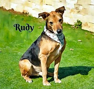 Photo of Rudy
