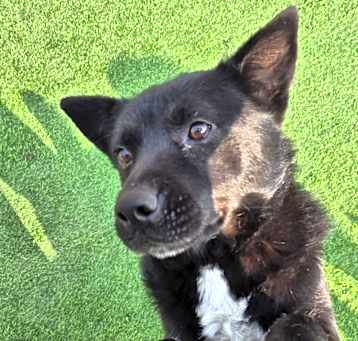 Photo of bolt