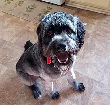 Photo of Onyx Emilio