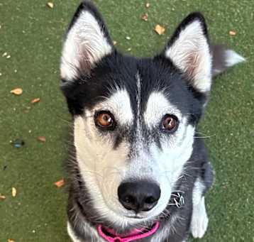 Photo of Geraldine