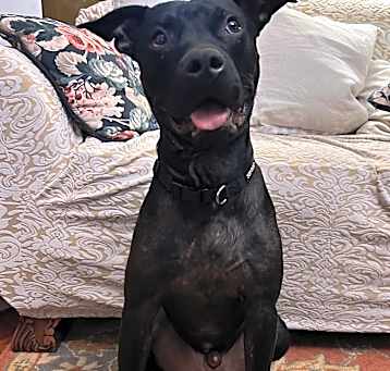 Photo of Kino