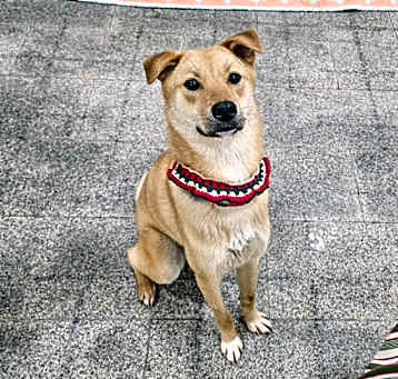 Photo of Gongjoo