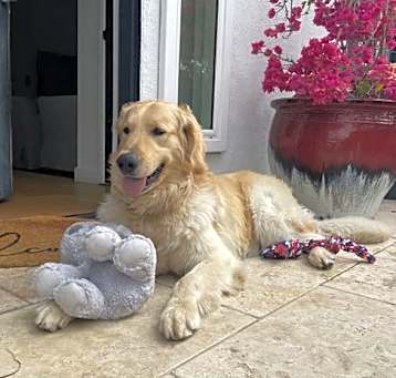 Photo of Makai