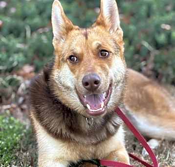 Photo of Cami