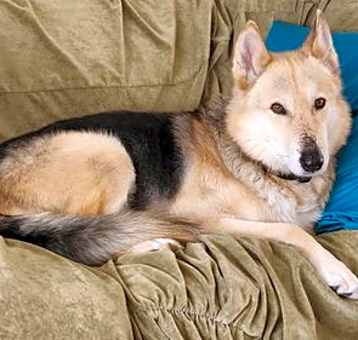 Photo of Tobi