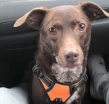 Photo of Apollo