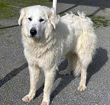 Photo of Cheyenne