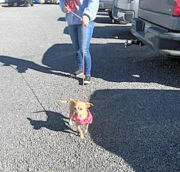 Photo of Chiquita