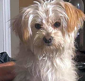 Photo of Sammy