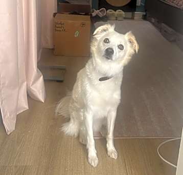 Photo of Dottie